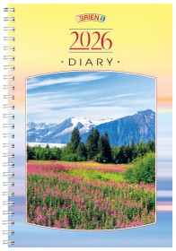 Mendenhall Glazier, Alaska, USA