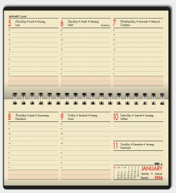 SP6 Landscape Layout